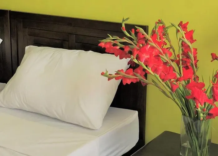 Hotel Sans At Rana 2*